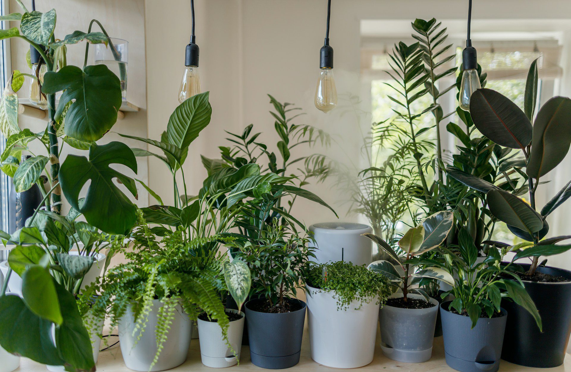 Ev Bitkileriyle Ahşap Dekorasyonu Nasıl Tamamlanır